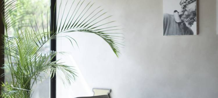 阿米哥之家(Amigo House)图片