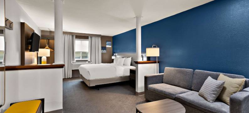 弗里蒙特舒适套房酒店(Comfort Inn & Suites)图片