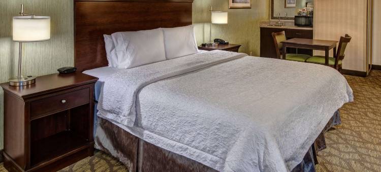 希尔顿欢朋酒店-洛矶山脉(Hampton Inn Rocky Mount)图片