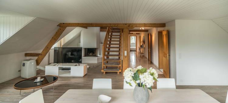 天空之家车站附近乐闻普拉茨公寓(Löwenplatz Apartment Near Station by Airhome)图片