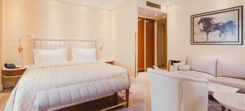 安卡拉阿特利酒店(Atli Hotel Ankara)图片