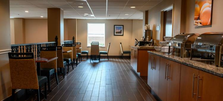 帕特里奥茨波因特舒适套房酒店(Comfort Inn & Suites Patriots Point)图片