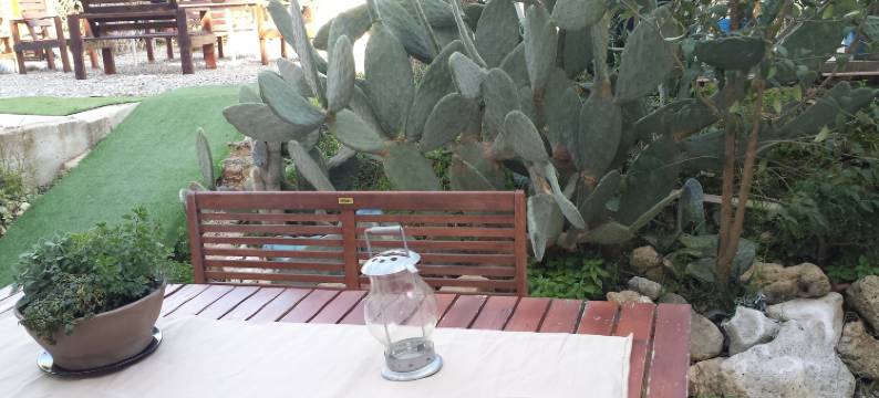 Marchesi庄园别墅(Aparthotel Masseria Villa Marchesi)图片