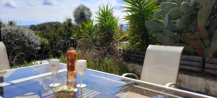 欢乐别墅酒店(Villa des Delices)图片