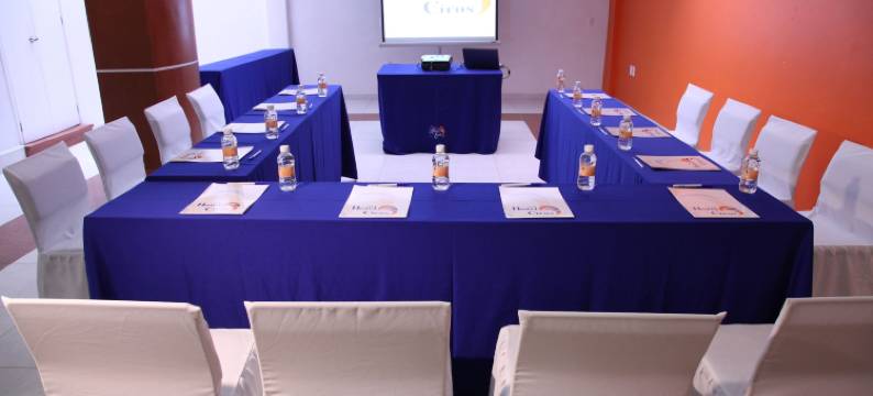 希洛斯酒店(Hotel Ciros)图片