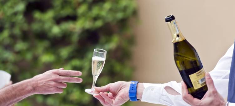 飞燕贝斯特韦斯特优质酒店(Best Western Plus Hotel le Rondini)图片