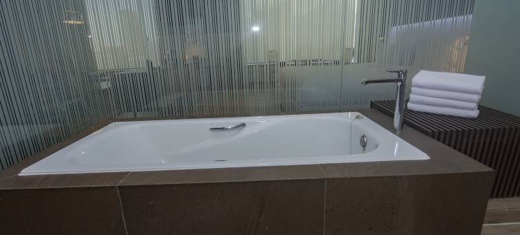 丽笙蓝标广场酒店-圣地亚哥(Radisson Blu Plaza El Bosque Santiago)图片