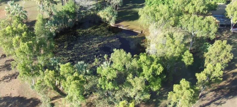 领地庄园汽车旅馆暨房车公园(Territory Manor Motel & Caravan Park)图片