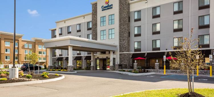 尼亚加拉瀑布大道舒适套房酒店(Comfort Inn & Suites Niagara Falls Blvd USA)图片