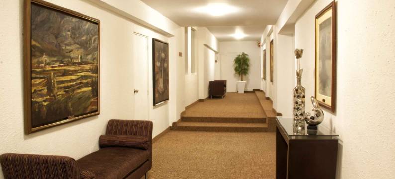 蒂拉维瓦阿雷基帕广场酒店(Tierra Viva Arequipa Plaza)图片