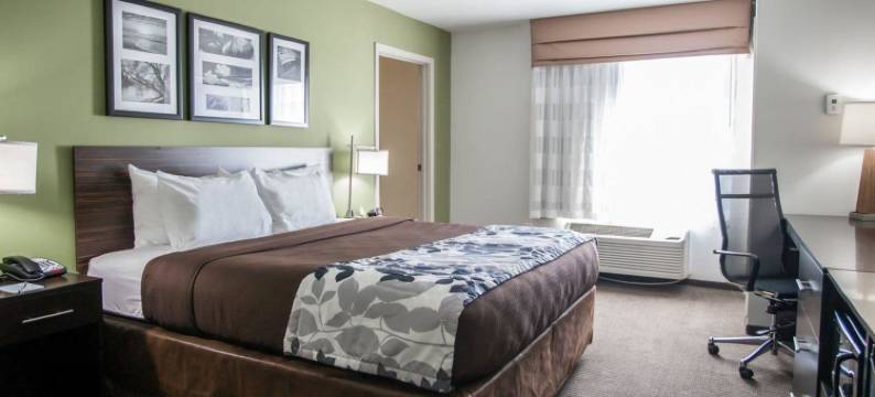 格尔夫波特舒眠套房酒店(Sleep Inn & Suites Gulfport)图片