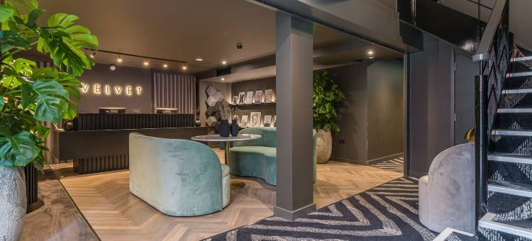 威尔维特酒店(Velvet Hotel)图片