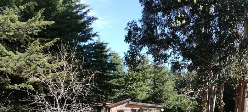 南美农场酒店(Quinta Sul America)图片