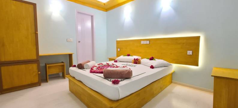 马尔代夫海滩之星(Beach Star Maldives)图片