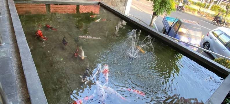 提科尔酒店(Tickle Hotel)图片