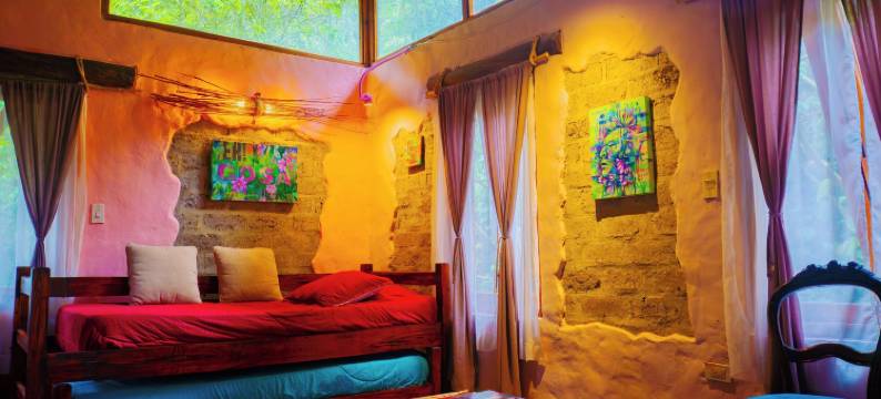 乔阿奇植物保护区(Reserva Botánica Choachí)图片