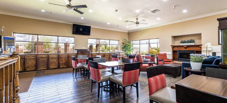 克鲁特杰克森湖舒适全套房酒店(Comfort Suites Lake Jackson Clute)图片