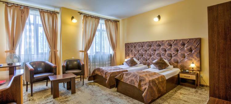 安姆比恩特膳食公寓酒店(Pensiunea Ambient)图片