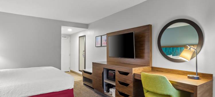 希尔顿欢朋酒店-杰克逊维尔蓬特韦德拉海滩-梅奥诊所(Hampton Inn Jacksonville/Ponte Vedra Beach-Mayo Clinic Area)图片