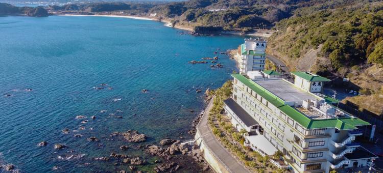 志布志湾大黑度假村酒店(Shibushiwan Daikoku Resort Hotel)图片