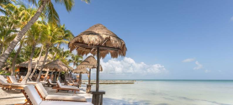 帕拉帕海滨酒店 - 限成人(Beachfront Hotel la Palapa - Adults Only)图片