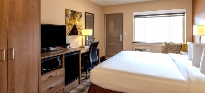 博尔德大学汽车旅馆(Boulder University Inn)图片