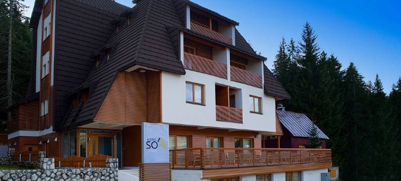 索亚酒店(Hotel Soa)图片