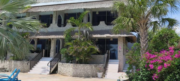 野兰花度假村(The Wild Orchid Resort - Moalboal)图片