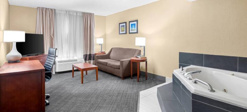 大学区舒适酒店(Comfort Inn University Area)图片