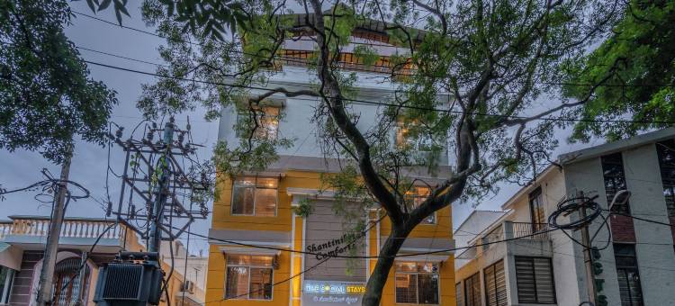 社会住宿班加罗尔(The Social Stays Bangalore formerly ArtBuzz)图片