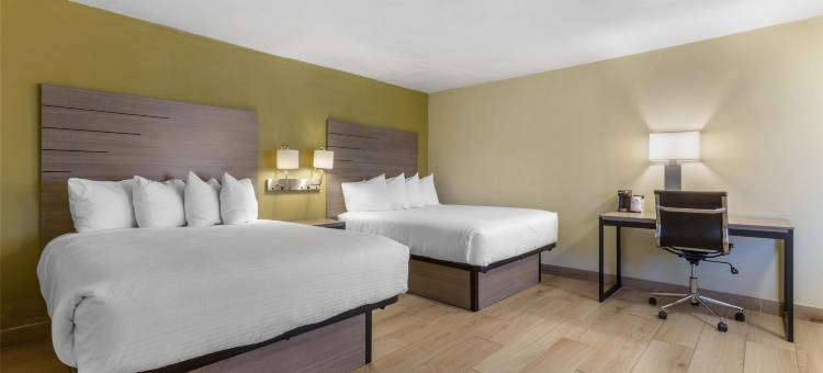 贝斯特韦斯特国际酒店集团岩石森林酒店(SureStay by Best Western Chambers Petrified Forest)图片