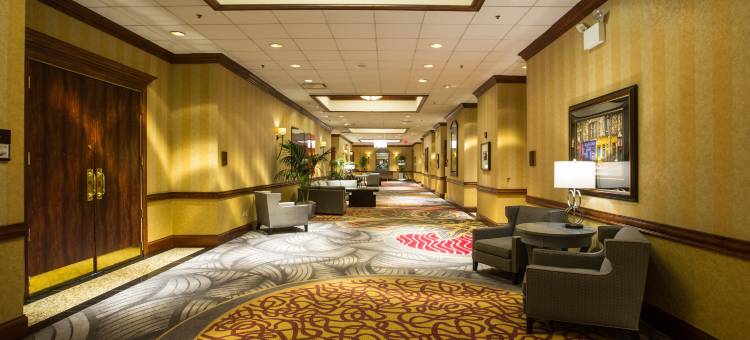 灯光芝加哥逸林酒店(DoubleTree by Hilton Hotel Chicago - Alsip)图片