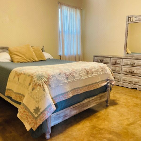 Homey Honey Hive(Homey Honey Hive)图片