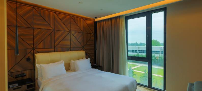 萨卡里亚丽笙蓝标酒店(Radisson Blu Hotel, Sakarya)图片