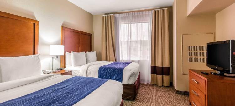 IAH布什机场-东舒适套房酒店(Comfort Inn & Suites IAH Bush Airport - East)图片