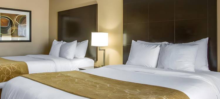 贝斯特韦斯特肯纳酒店(Best Western Kenner)图片