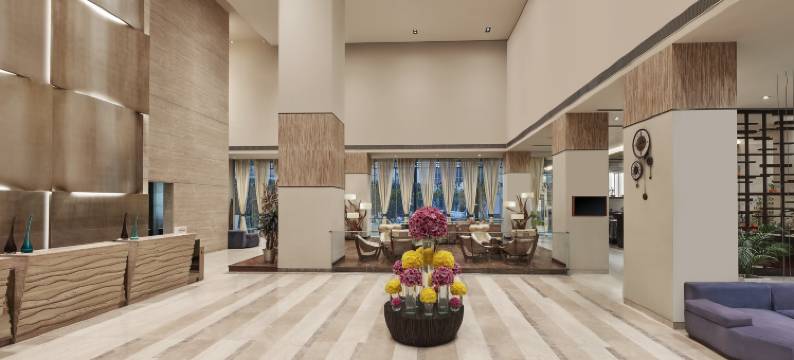 古尔冈巴尼广场希尔顿逸林酒店(DoubleTree by Hilton Gurugram Baani Square)图片