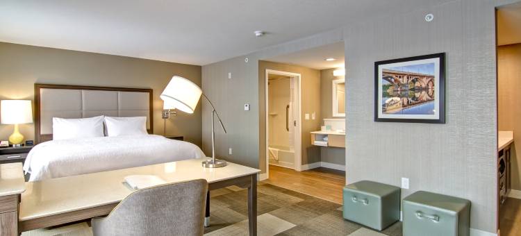 希尔顿旗下欢朋酒店及套房-萨斯卡通机场(Hampton Inn & Suites by Hilton Saskatoon Airport)图片