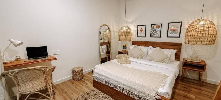 酷浪冲浪旅馆(Kickin' Surf Lodge)图片