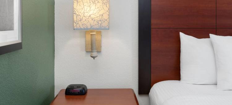 圣安东尼奥机场拉昆塔温德姆套房酒店(La Quinta Inn & Suites by Wyndham San Antonio Airport)图片