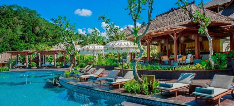 曼答帕丽思卡尔顿隐世酒店(Mandapa, a Ritz-Carlton Reserve)图片