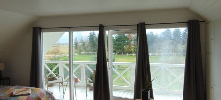 达奇斯-dk(Dutchies-dk)图片