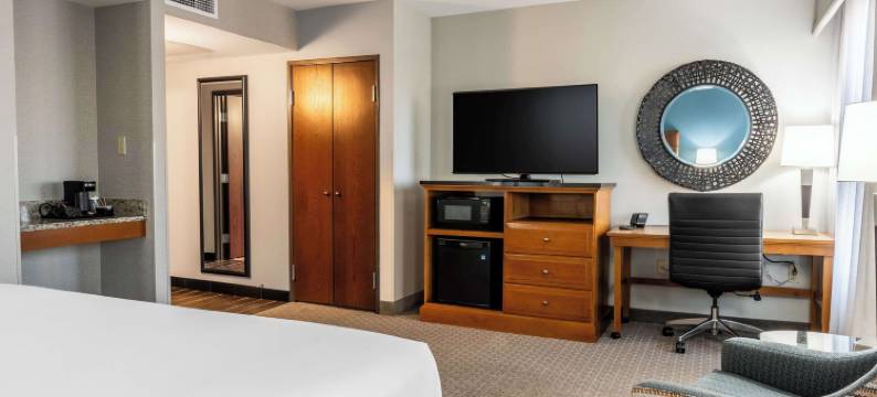 威奇托博文德鲁里广场酒店(Drury Plaza Hotel Broadview Wichita)图片