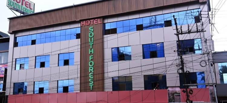 南方森林酒店(HOTEL SOUTH FOREST)图片