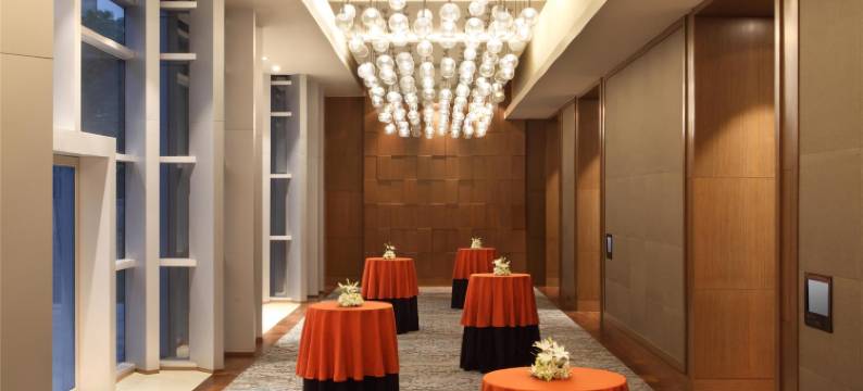 艾哈迈达巴德凯悦酒店(Hyatt Regency Ahmedabad)图片