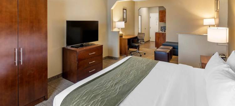 林肯I-20舒适套房酒店(Comfort Inn & Suites Lincoln I-20)图片