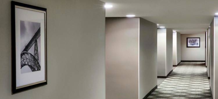 亚特兰大桃树中城酒店(Peachtree Hotel Midtown Atlanta)图片