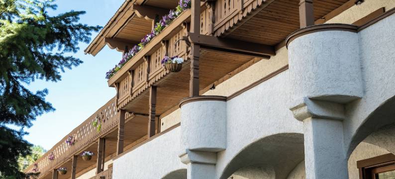 恩慈安旅馆(Enzian Inn)图片