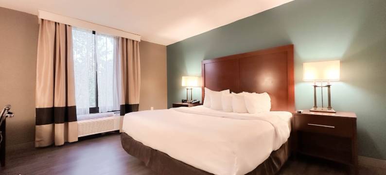 The Adventure Hotel by the Parks图片