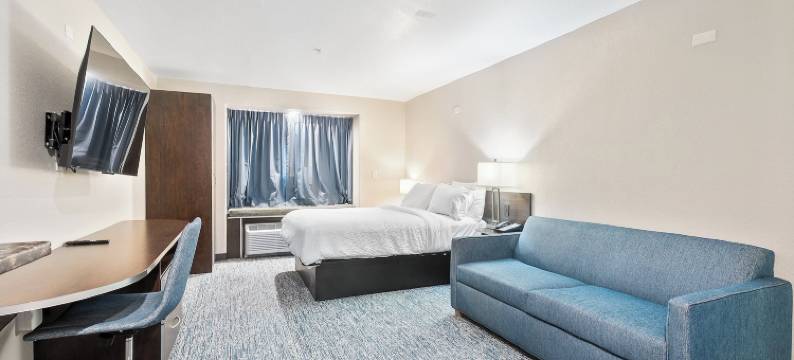 冈萨雷斯Garner酒店(Microtel Inn & Suites by Wyndham Gonzales TX)图片